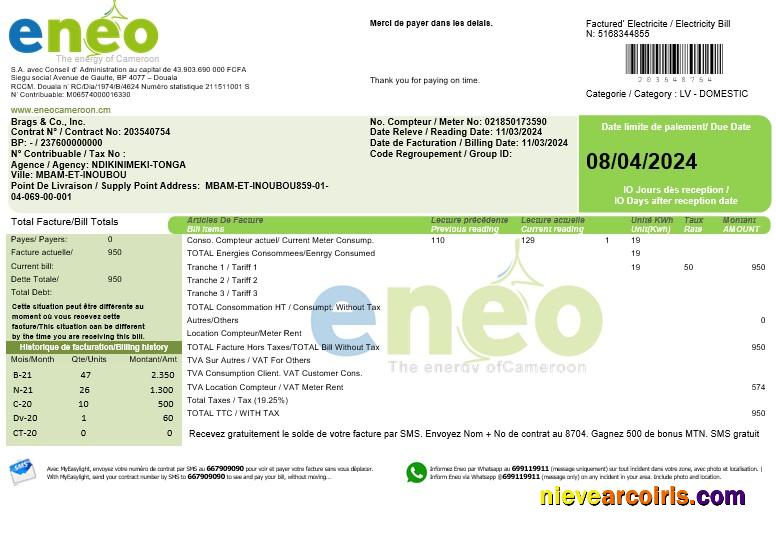 Cameroon ENEO electricity business utility bill